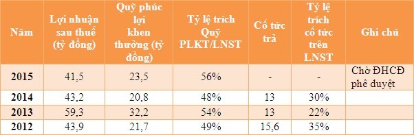 TC6 và TCS dành 50% lợi nhuận cho quỹ phúc lợi, cổ đông kêu trời ảnh 1