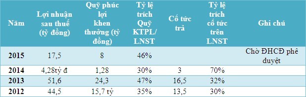 TC6 và TCS dành 50% lợi nhuận cho quỹ phúc lợi, cổ đông kêu trời ảnh 2