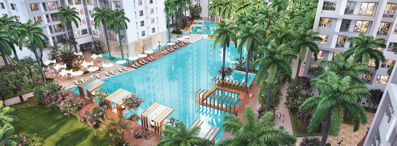 “Chiếc đũa thần” cho ước mơ sống ở khu Nam TP. HCM ảnh 3