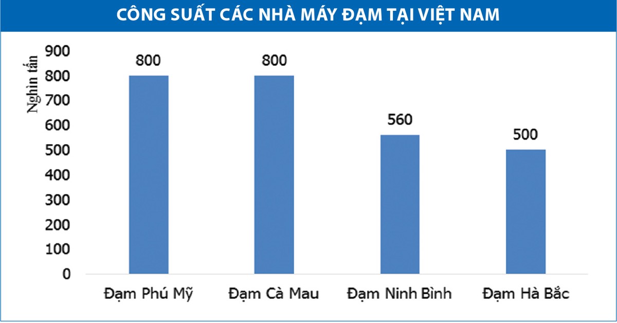 Đạm Ninh Bình lỗ nặng: Đạm Phú Mỹ, Đạm Cà Mau sẽ... thẳng tiến? ảnh 2