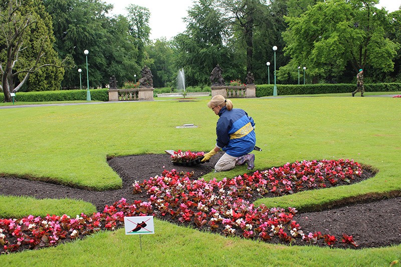 Một thoáng Praha ảnh 12