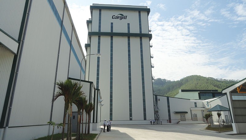 Phát triển xanh là đòi hỏi sống còn đối với doanh nghiệp ảnh 1