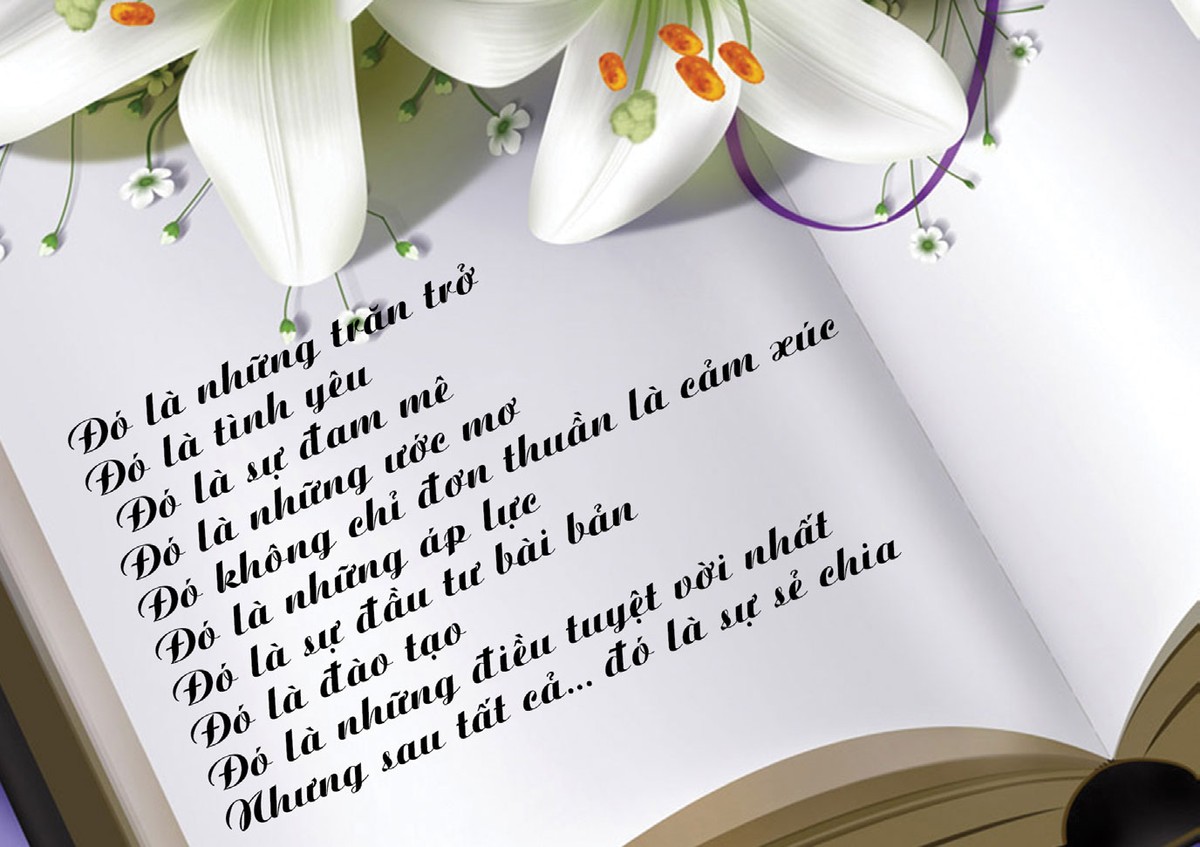 Phía sau gần  1.500 trang báo cáo của Bảo Việt... ảnh 3