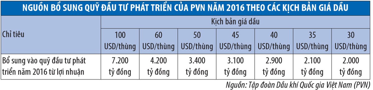 Chuyện những doanh nghiệp rủng rỉnh tiền ảnh 3