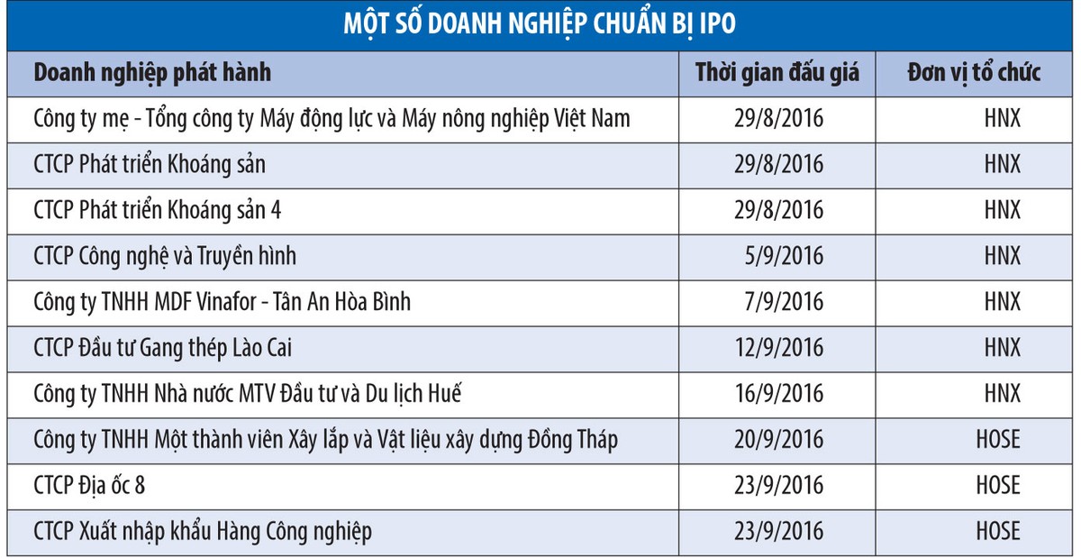 Muốn có cổ đông chiến lược, doanh nghiệp nhà nước nên bán tối thiểu 49% ảnh 2