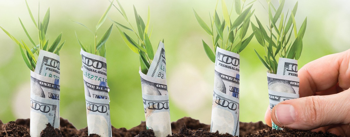 Nâng tầm phong trào khởi nghiệp thành một cuộc cách mạng ảnh 1