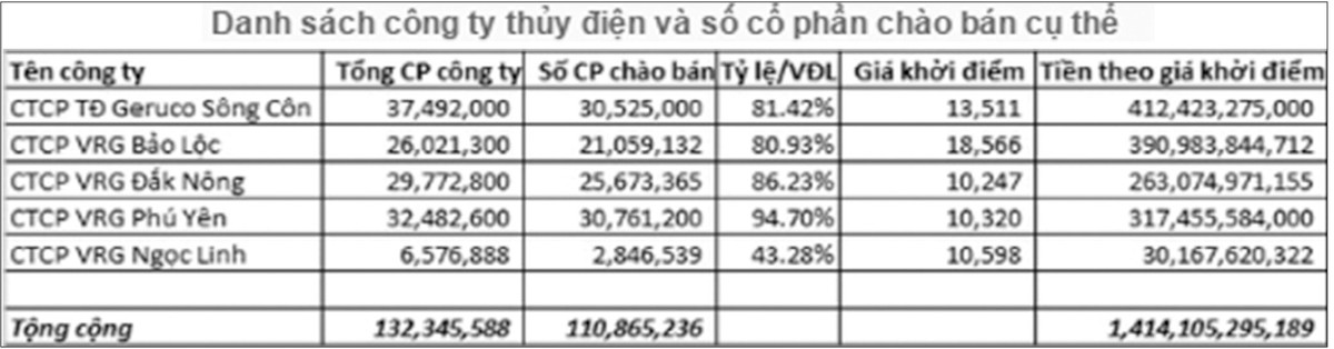 Đầu tư vào thủy điện: Nội, ngoại cạnh tranh ảnh 1