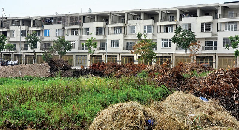 Cỏ dại mọc trong biệt thự tiền tỷ tại Khu đô thị Văn Phú ảnh 1