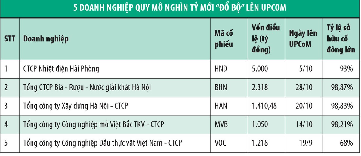 UPCoM: Thanh khoản “lạc nhịp” với quy mô vốn hóa ảnh 1