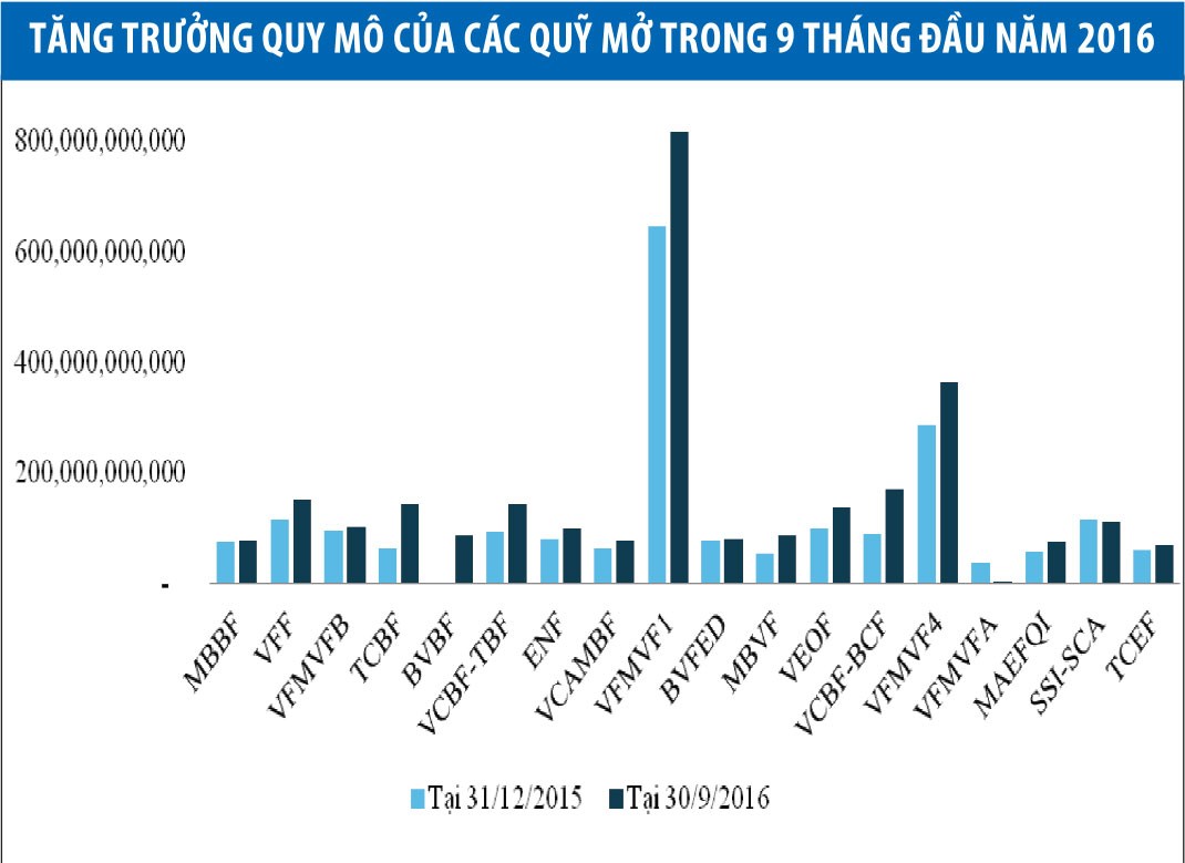 Quỹ mở nội địa: Tăng trưởng vượt trên VN30 ảnh 1