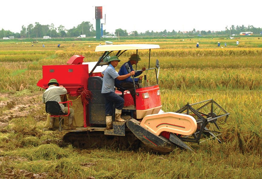 Tiếp sức cho nông nghiệp phát triển bền vững ảnh 1