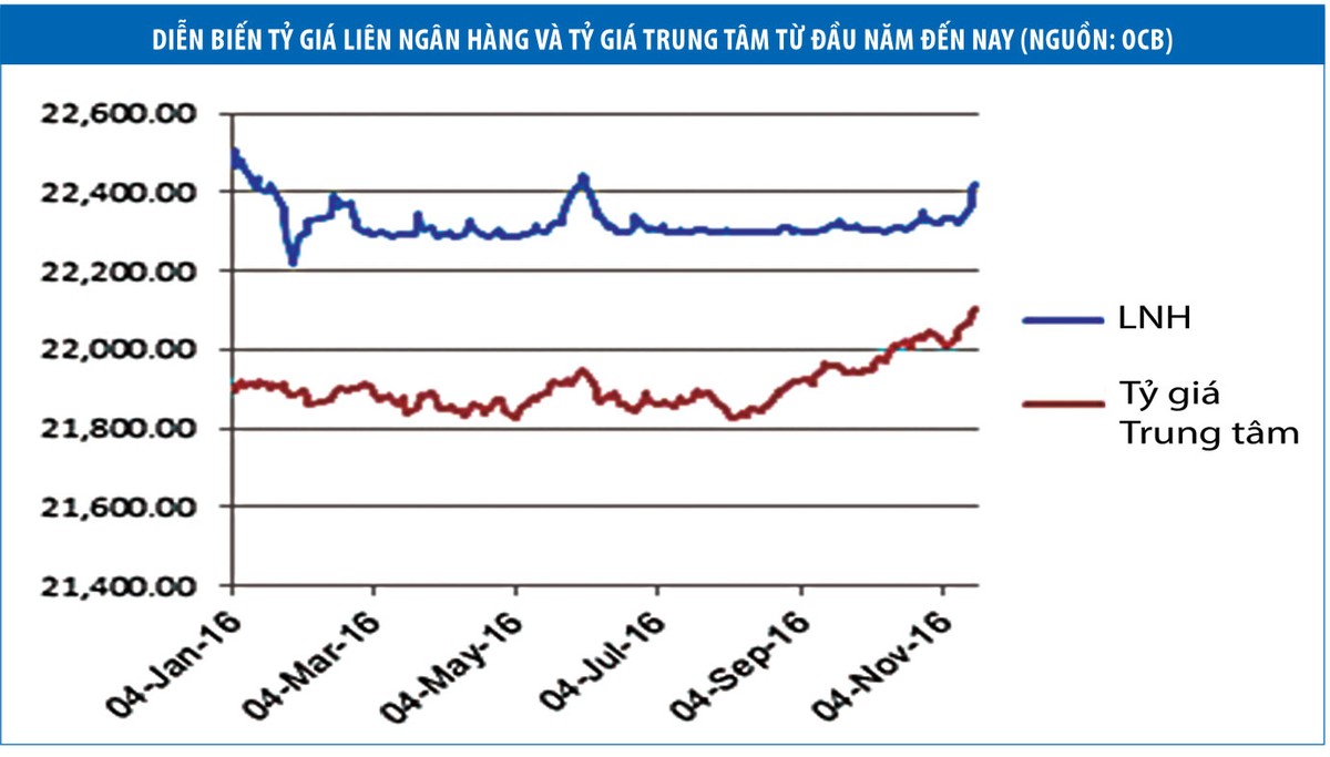 Tỷ giá tăng đột biến: Chỉ là biến động nhất thời  ảnh 1