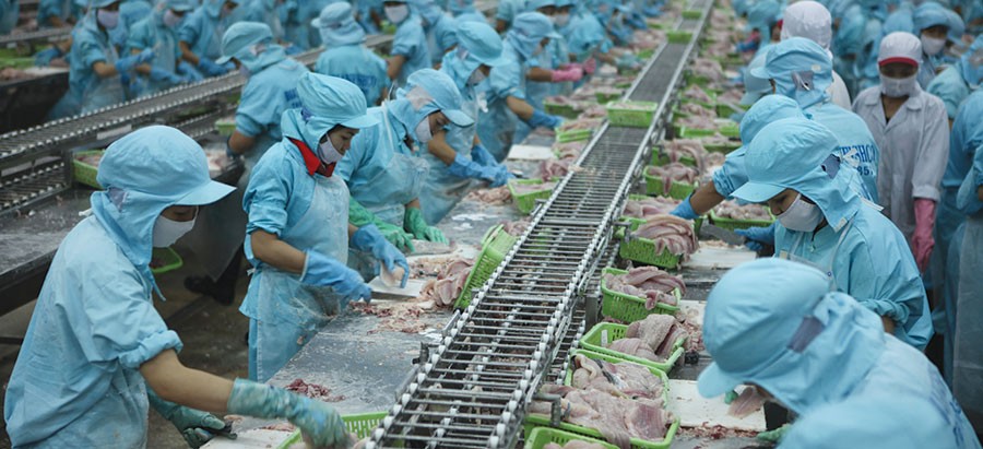 Khi doanh nghiệp Việt “thèm thuồng” nhìn thị trường thế giới ảnh 1