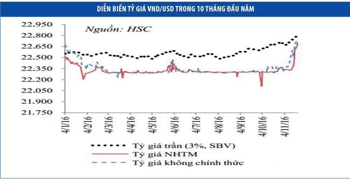 Tỷ giá tăng là do yếu tố mùa vụ ảnh 1