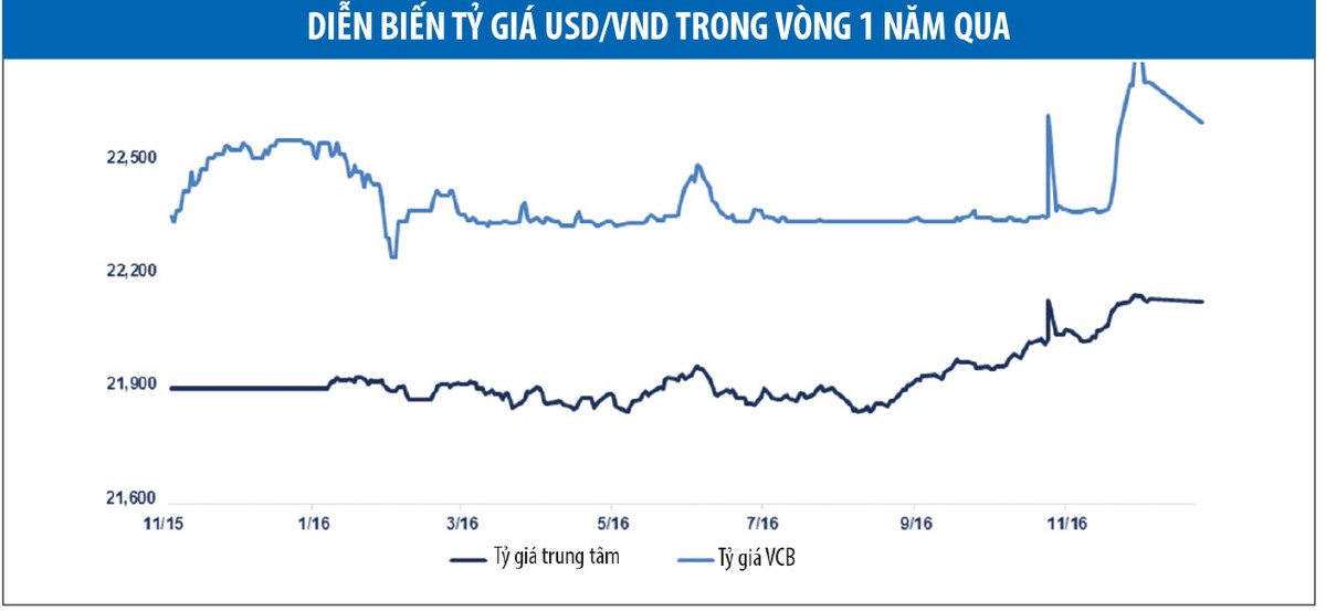 Tỷ giá và lợi nhuận: Gam màu sáng cuối năm ảnh 3