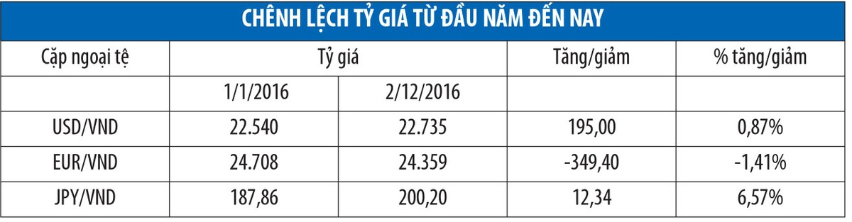 Tỷ giá và lợi nhuận: Gam màu sáng cuối năm ảnh 4