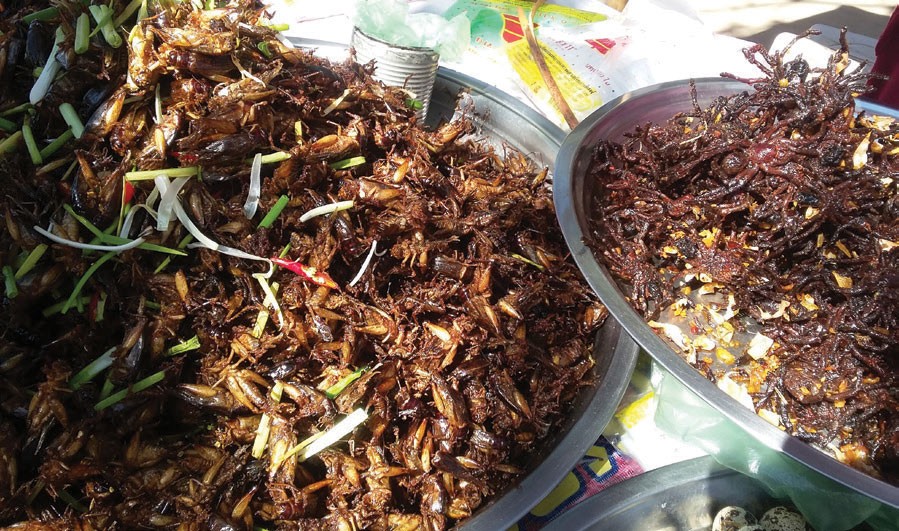 Biển Hồ! Biển Hồ! ảnh 3