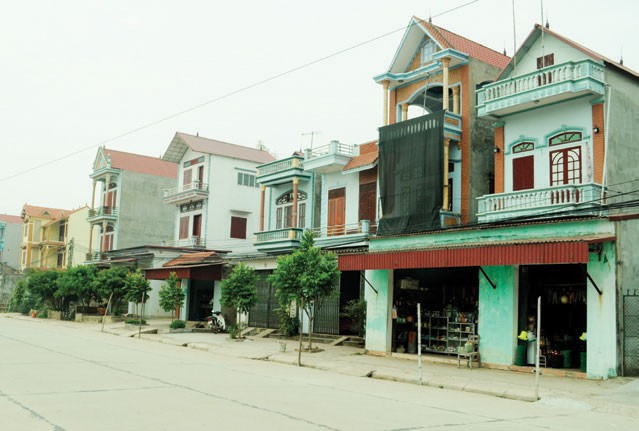 Xuân sớm trên quê hương Trí Yên ảnh 2