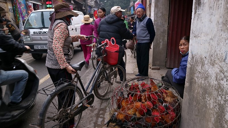 Chợ phiên giữa Hà Thành đậm chất quê giăng kín ngõ phố ảnh 2