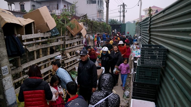 Chợ phiên giữa Hà Thành đậm chất quê giăng kín ngõ phố ảnh 4