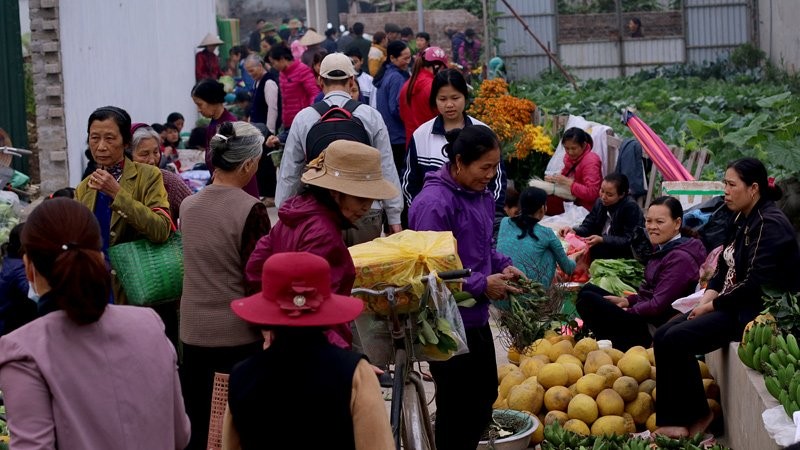 Chợ phiên giữa Hà Thành đậm chất quê giăng kín ngõ phố ảnh 8