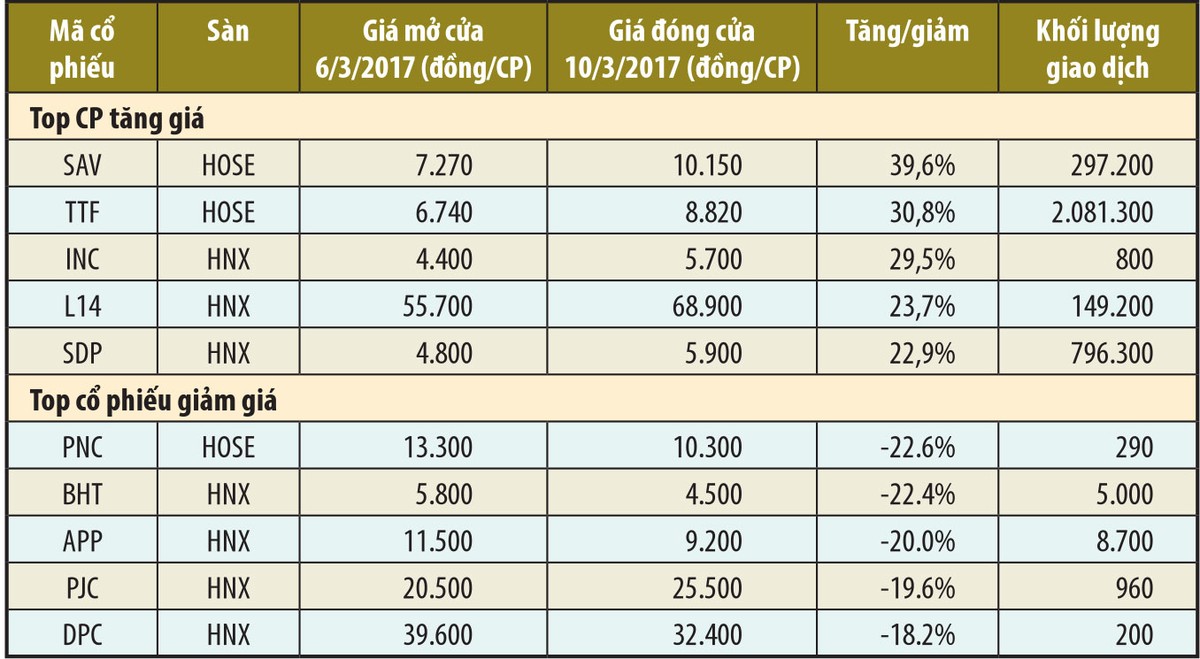 Tiền nóng làm “sống dậy” mã TTF ảnh 1