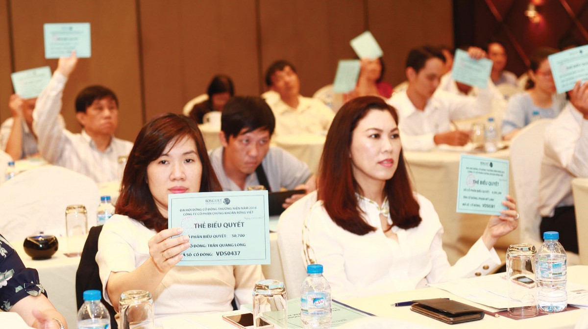 Rồng Việt lên kế hoạch 2017 lãi trăm tỷ ảnh 1