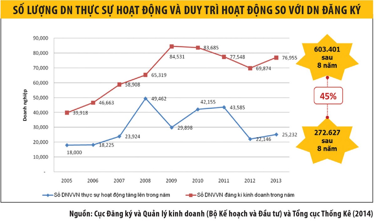 Nuôi dưỡng doanh nghiệp nhỏ lớn mạnh sau khai sinh ảnh 1