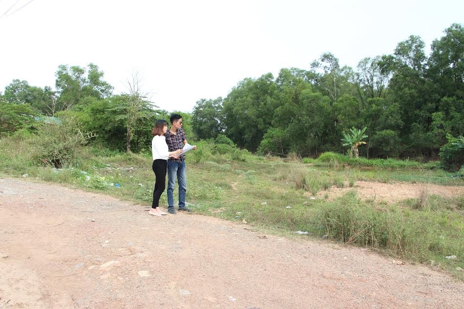 “Bàn tay cò” trong “pha làm bàn” của phân khúc đất nền phía Nam ảnh 1