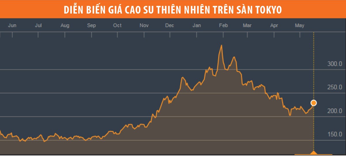 Cổ phiếu săm lốp: triển vọng sáng hơn từ quý II ảnh 1
