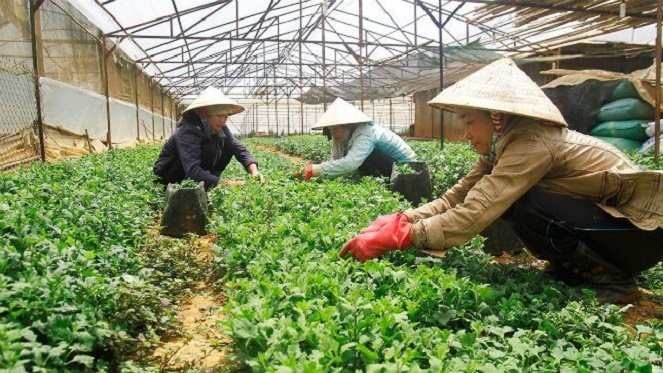 Huy động mọi nguồn lực thúc đẩy tăng trưởng kinh tế ảnh 2