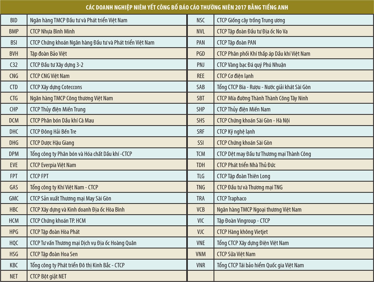Trên 40 doanh nghiệp niêm yết công bố báo cáo thường niên bằng tiếng Anh ảnh 1