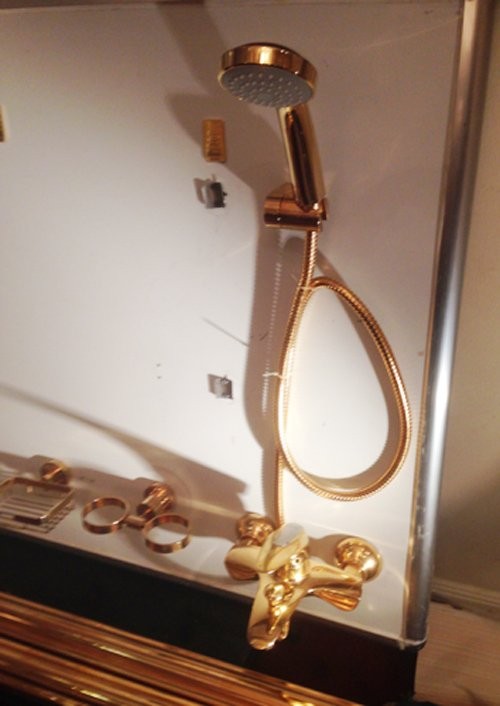 Những thú chơi ngông 'đốt tiền' của đại gia Việt ảnh 7