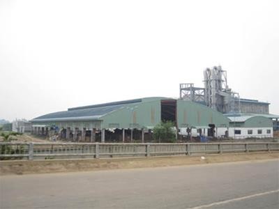 Đấu giá lần 1 thất bại, Phó thủ tướng yêu cầu tiếp tục bán đấu giá Nhà máy bột giấy Phương Nam ảnh 1