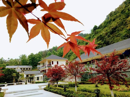 Ba chốn nghỉ đêm hợp túi tiền khi đi thác Bản Giốc ảnh 7