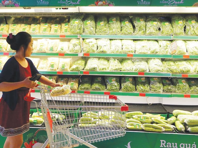 Những rủi ro nào mà kinh tế Việt Nam đang phải đối mặt? ảnh 1