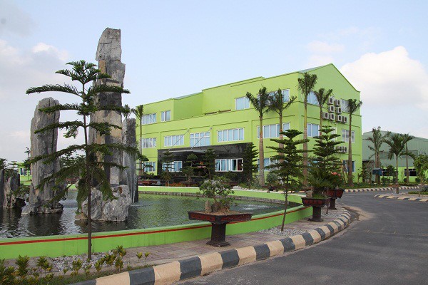 CEO AAA chia sẻ bí quyết quản trị sự thay đổi ảnh 2