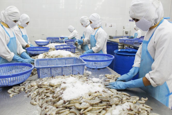 Ma trận giấy phép con và nền kinh tế sáng tạo (kỳ 1): Chuyện ở ngành y tế ảnh 1