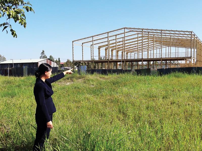 Dự án Siêu thị và Khu chức năng H&B (Hậu Giang) “chết lâm sàng” ảnh 1