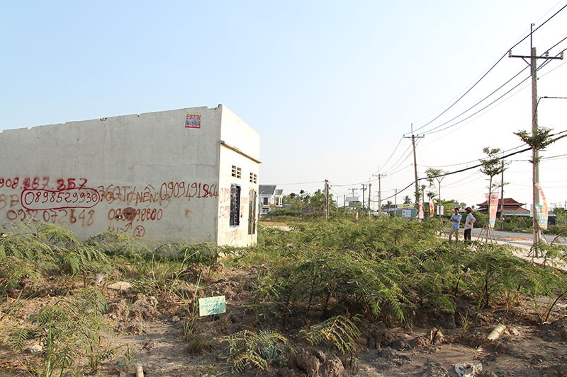 Trở lại nơi từng là tâm “sốt ảo” đất nền TP.HCM ảnh 1