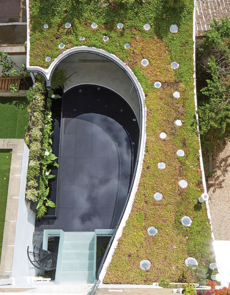 Sun Rain Room, căn phòng của mưa và ánh nắng mặt trời ảnh 4