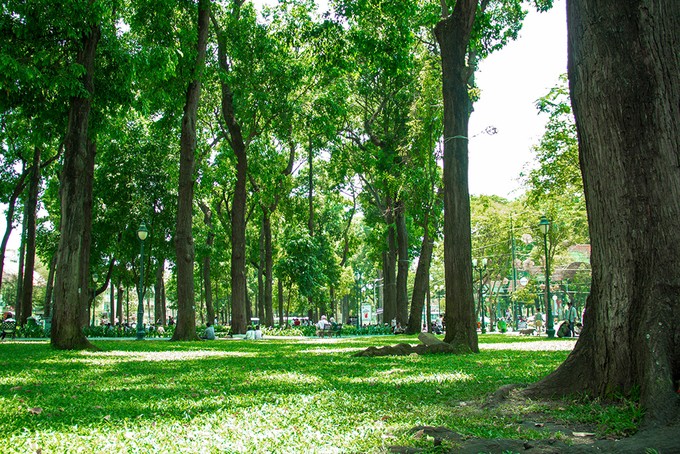 5 điểm hẹn hò mùa Valentine cho các cặp đôi tại Sài Gòn ảnh 2