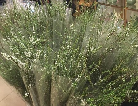 5 loại hoa mới được nhiều gia đình tìm mua dịp cuối năm ảnh 5