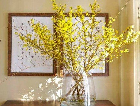 5 loại hoa mới được nhiều gia đình tìm mua dịp cuối năm ảnh 9