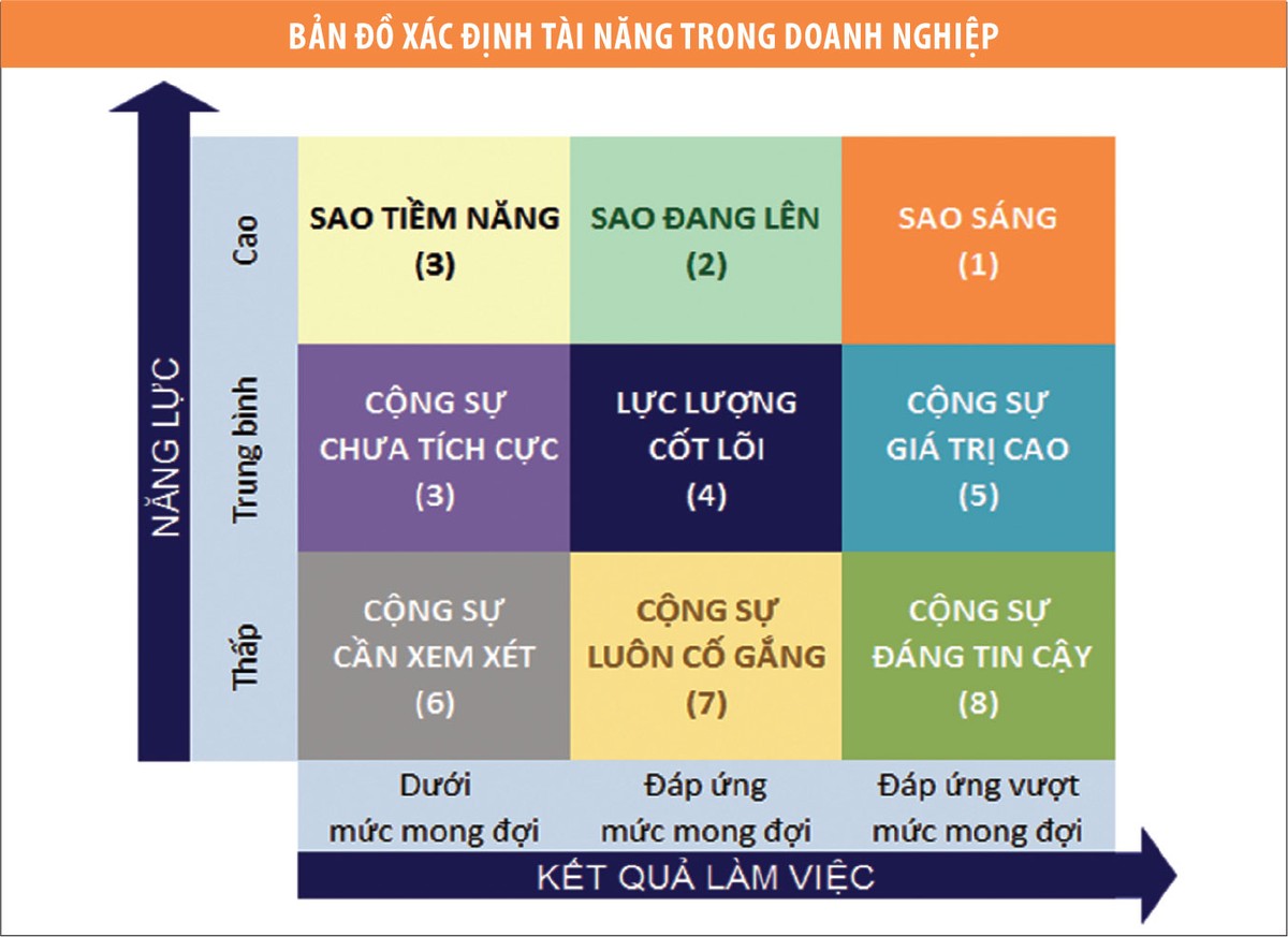 Chọn cộng sự là các “ngôi sao sáng” ảnh 1