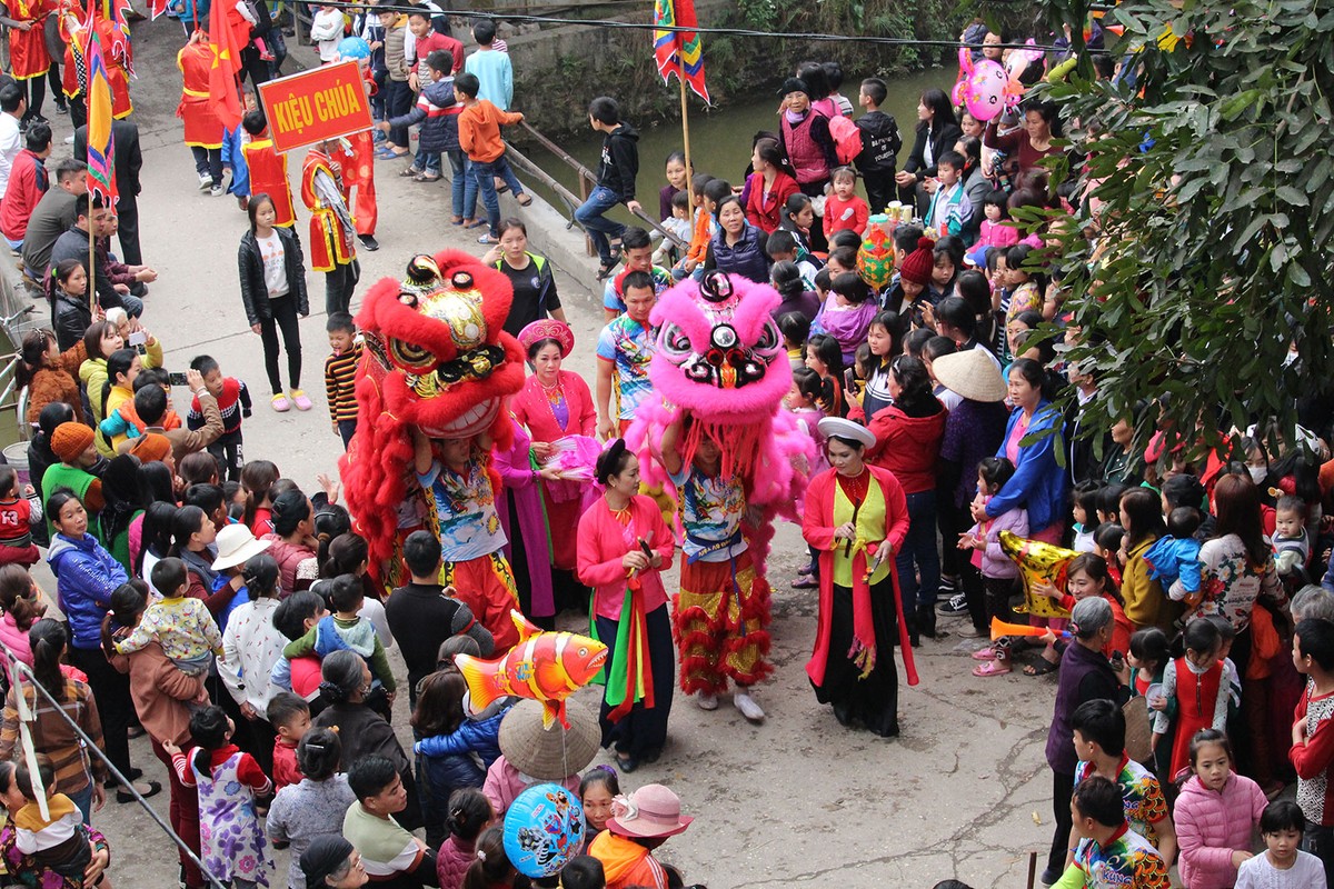 Hàng ngàn người tham gia lễ hội rước Vua giả tại Đền Sái, huyện Đông Anh ảnh 33