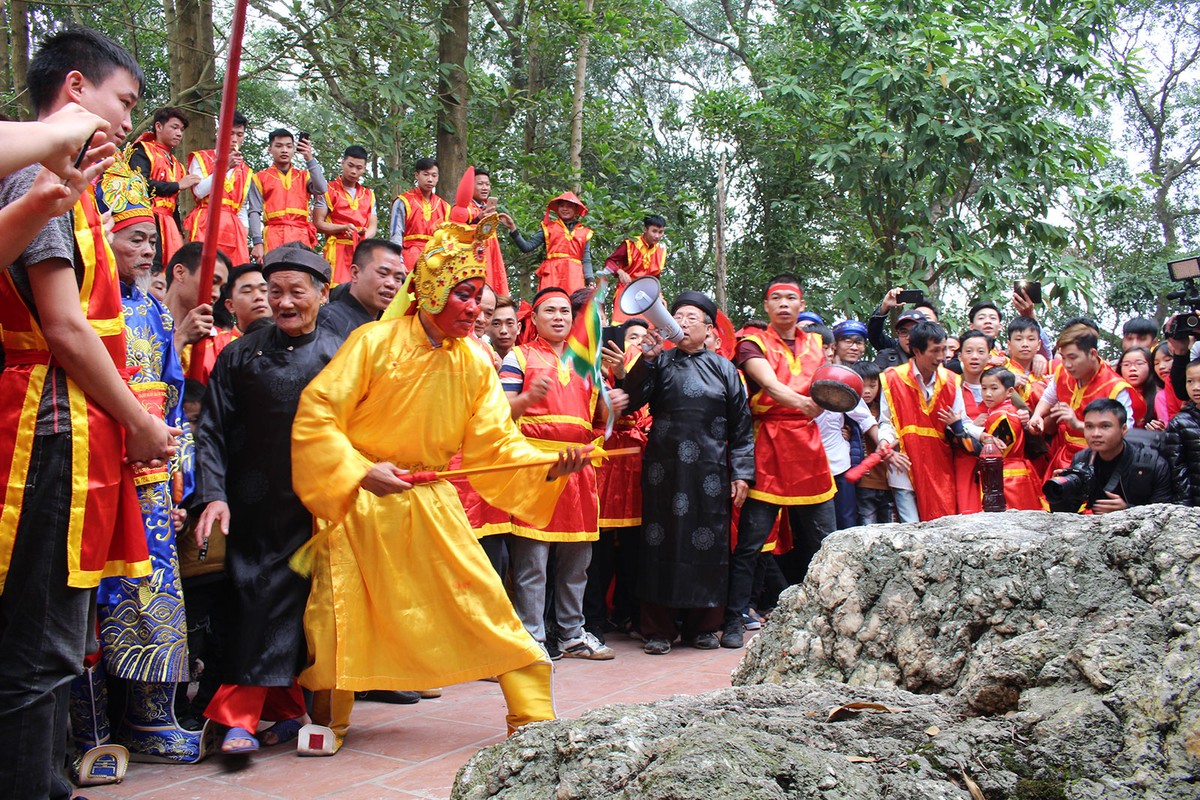 Hàng ngàn người tham gia lễ hội rước Vua giả tại Đền Sái, huyện Đông Anh ảnh 14