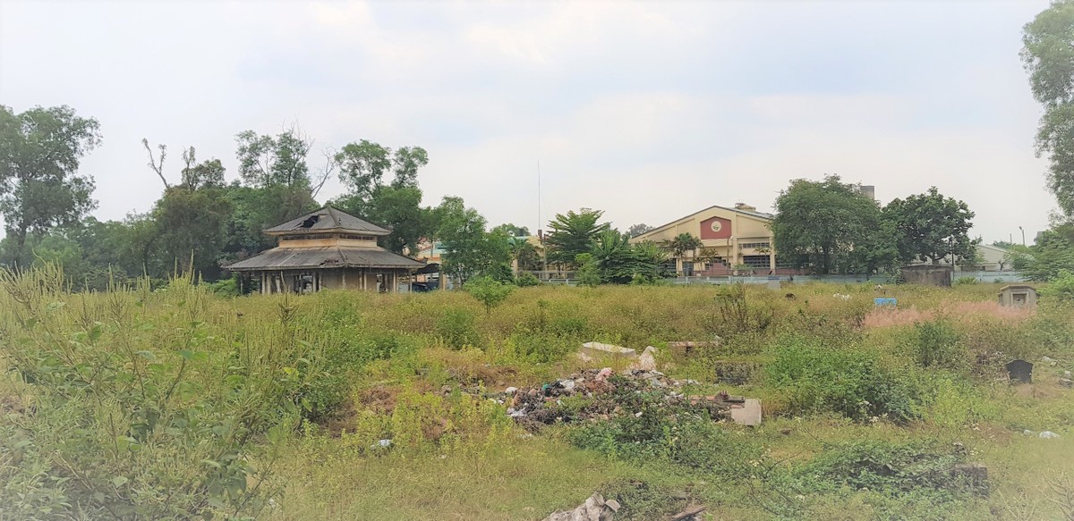 Bình Hưng Hòa - Sức sống trỗi dậy từ mảnh đất “vĩnh hằng” ảnh 1