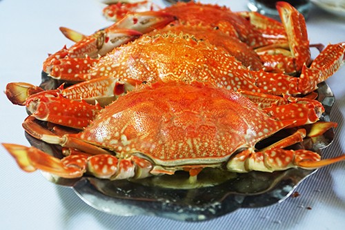 5 món hải sản không thể bỏ qua khi đi biển dịp 30/4 ảnh 4