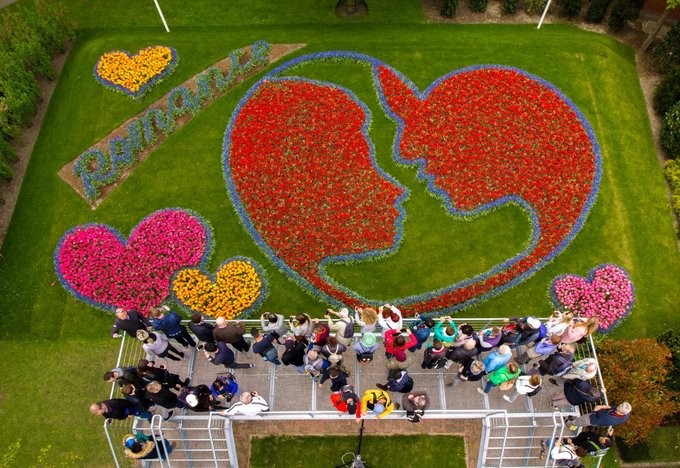 Vườn hoa tulip đẹp như tranh vẽ ở Hà Lan ảnh 6